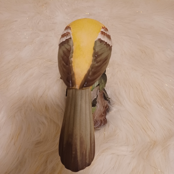 Oriolus  larvatus bird - Picture 2 of 4